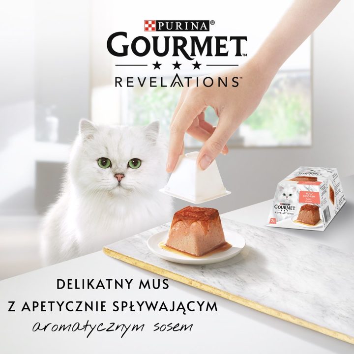 PURINA Gourmet Revelations Salmon - wet cat food - 2x57 g