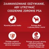 PURINA One Adult Medium/Maxi Rich in lamb with rice - dry dog food - 2 5kg