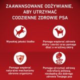 PURINA One Adult Medium/Maxi Sensitive Rich in salmon with rice - dry dog food - 2 5kg