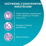 PURINA One Bifensis Sensitive Rich in turkey - dry cat food - 750g