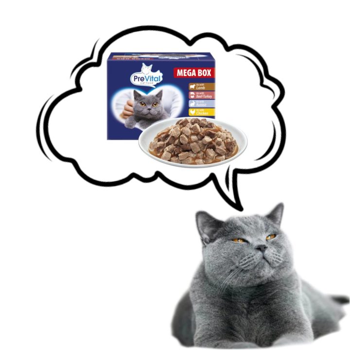 PREVITAL Cat Food Megabox with Lamb Beef Rabbit and Chicken in Gravy - Wet Cat Food - 24 x 100g