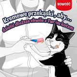 PURINA Felix Deli Moments Salmon - cat treats - 4x10g