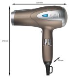 ProfiCare PC-HTD 3113 hair dryer 2200 W Brown