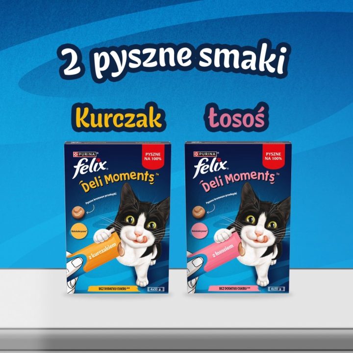 PURINA Felix Deli Moments Salmon - cat treats - 4x10g