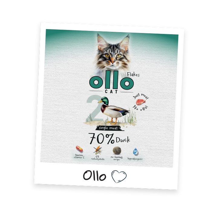 OLLO Cat No. 2 Duck Mono - wet cat food - 85g
