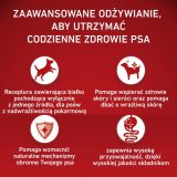 PURINA One Adult Medium/Maxi Monoprotein Rich in turkey - dry dog food - 2 5kg