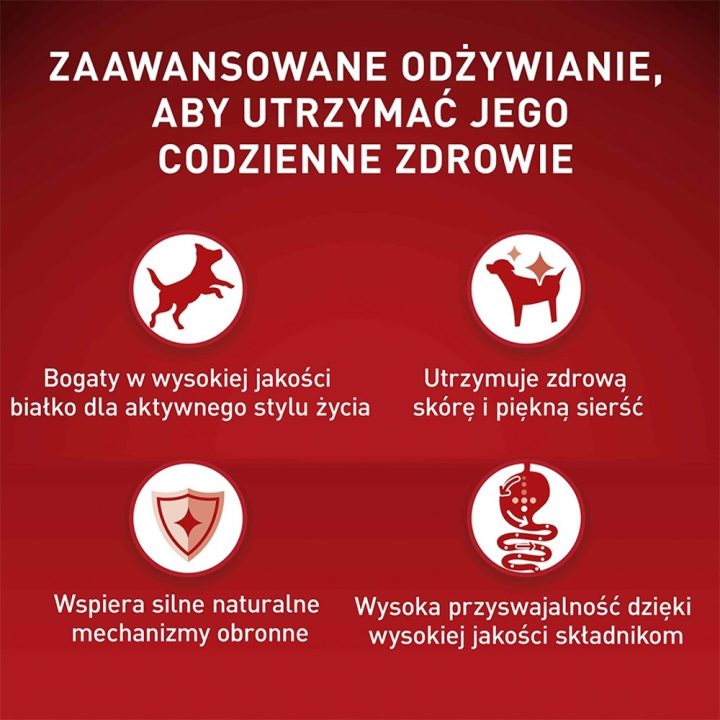 PURINA One Mini/Small Active Rich in chicken with rice - dry dog food - 800g