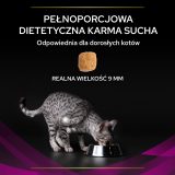 PURINA Pro Plan Veterinary Diets Feline UR St/Ox Urinary - dry cat food - 1 5kg