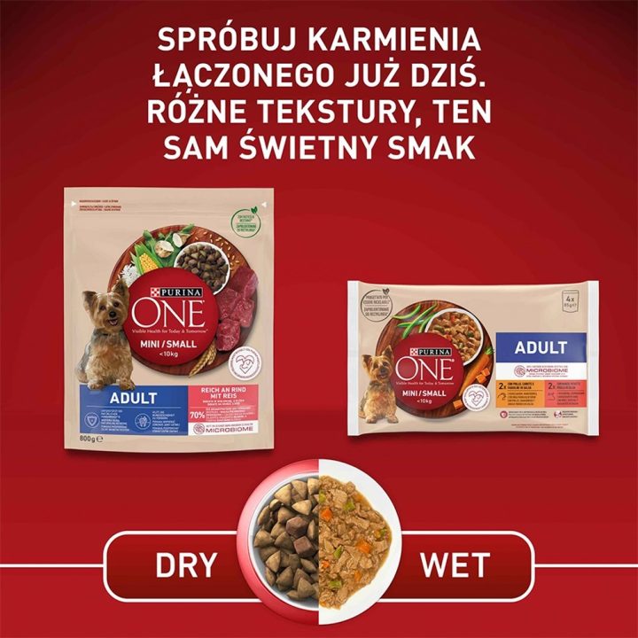 PURINA One Mini Adult Beef Rice - Dry Dog Food - 800 g