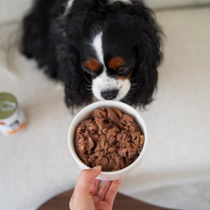 PAKA ZWIERZAKA PEPE Venison mono - wet dog food - 800g
