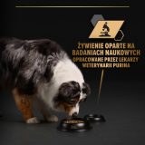 PURINA Pro Plan Everyday nutrition All size Adult Turkey in jelly - wet dog food - 400g