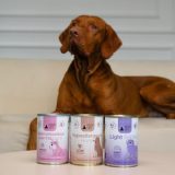 PAKA ZWIERZAKA Pepe Vet Light Mono Rabbit - wet dog food - 400g