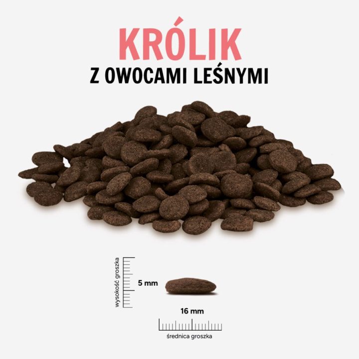 PAKA ZWIERZAKA Rabbit with forest fruits L – dry dog food – 9kg