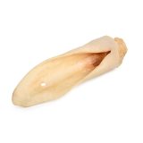 PETMEX White sheep ear Mono – dog treat – 10 pcs.