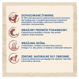 PURINA Dog Chow Sensitive Salmon - dry dog food - 14 + 2 5kg