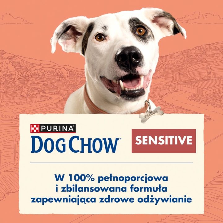 PURINA Dog Chow Sensitive Salmon - dry dog food - 14 + 2 5kg