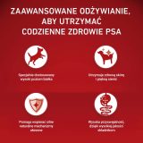 PURINA One Sensitive Mini/Small Rich in beef with rice - dry dog food - 1 5kg