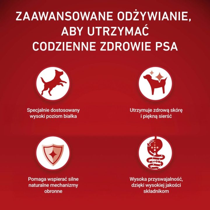PURINA One Sensitive Mini/Small Rich in beef with rice - dry dog food - 1 5kg