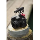 RODE VideoMicro Black Digital camera microphone