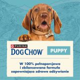 Purina Dog Chow Puppy Lamb 14 kg