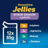 Purina Felix Sensations Mix Turkey Mackerel Lamb Herring - Wet Cat Food - 12x85 g
