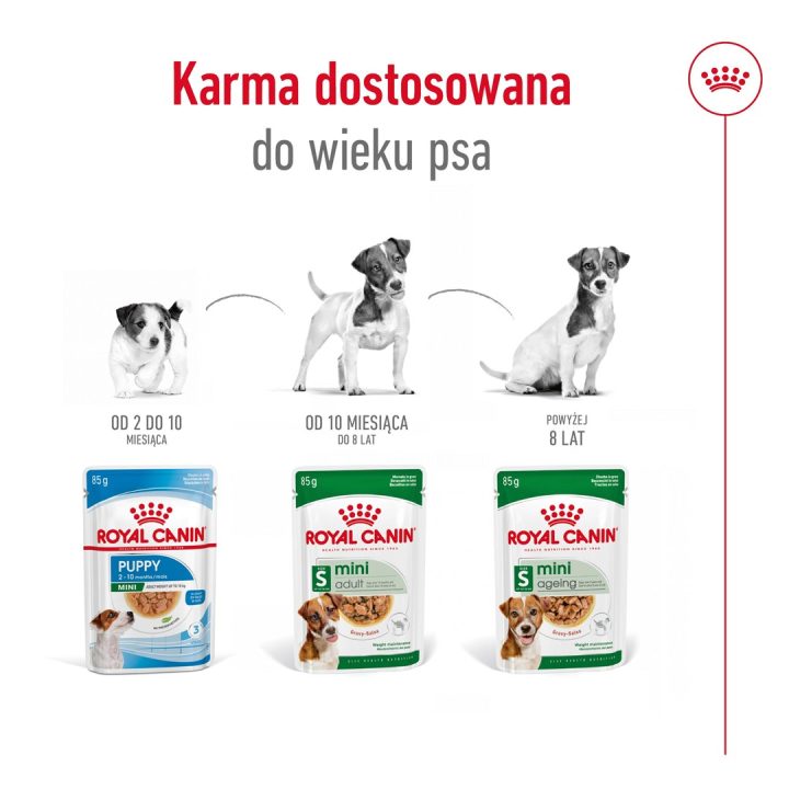 ROYAL CANIN Mini Ageing - wet dog food - 12 x 85g