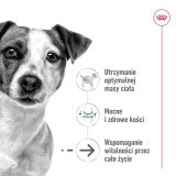 ROYAL CANIN Mini Ageing Adult +12 - dry dog food - 3 5 kg
