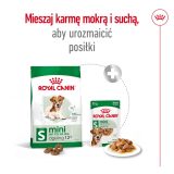 ROYAL CANIN Mini Ageing Adult +12 - dry dog food - 3 5 kg