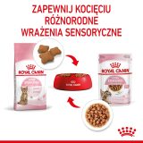 Royal Canin Sterilised Gravy 12x85g