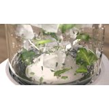 Philips 5000 series Eco Conscious Edition HR2500/00 Blender