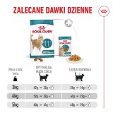 ROYAL CANIN Ageing 11+ - dry cat food - 2kg