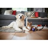 Philips PowerPro Expert FC9745/09 aspirapolvere 2 L aspirapolvere cilindrico secco 900 W senza sacchetto