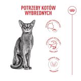 ROYAL CANIN Exigent Fussy - dry cat food - 2kg