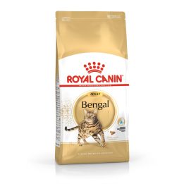 ROYAL CANIN FBN Bengal Adult - dry cat food - 10kg