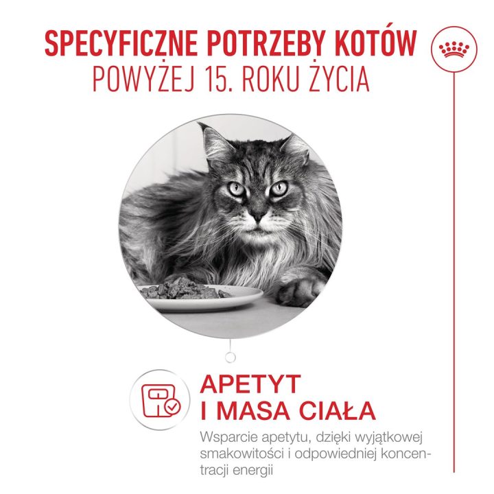 ROYAL CANIN Ageing 15+ - dry cat food - 2kg