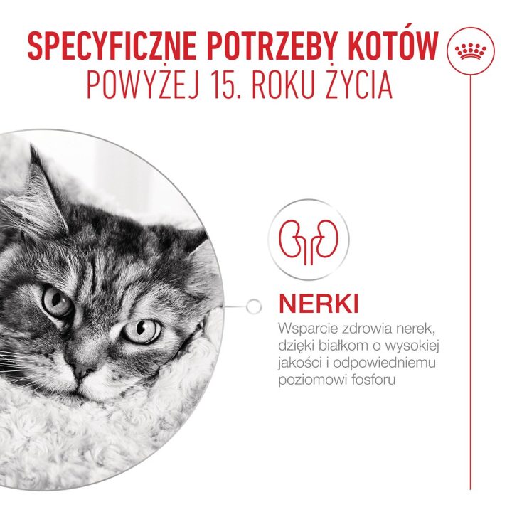 ROYAL CANIN Ageing 15+ - dry cat food - 2kg