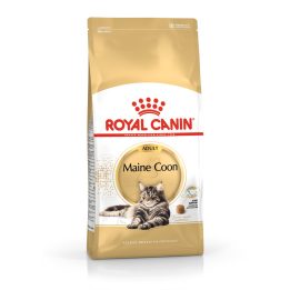 ROYAL CANIN FBN Maine Coon Adult dry cat food - 10kg