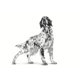 ROYAL CANIN Hypoallergenic - dry dog food - 2kg
