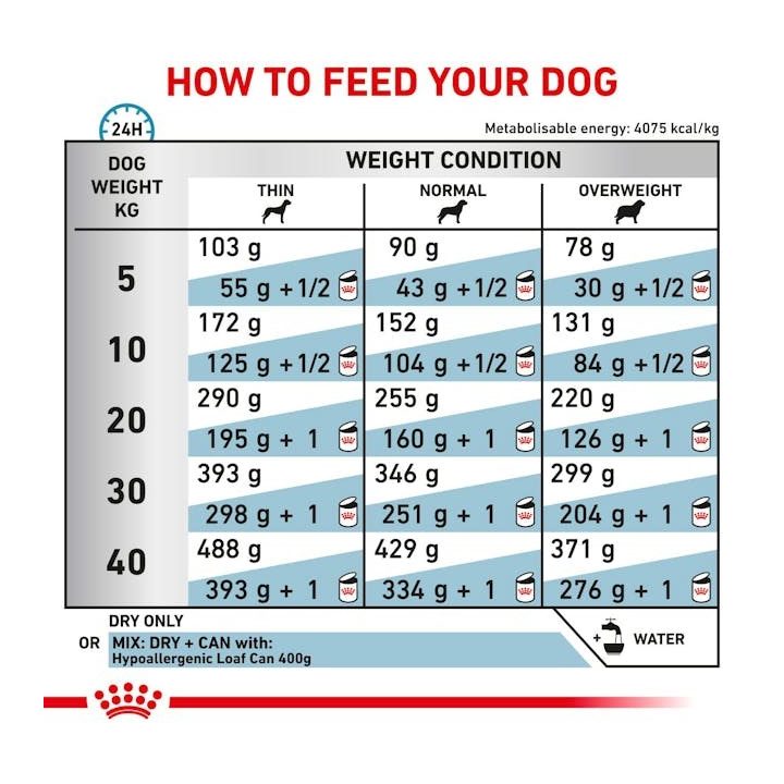 ROYAL CANIN Hypoallergenic - dry dog food - 2kg