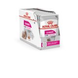 ROYAL CANIN Exigent Wet dog food Pâté 12x85 g