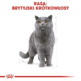 ROYAL CANIN FBN British Shorthair Adult dry cat food - 10 kg