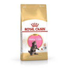ROYAL CANIN Maine Coon Kitten- dry cat food - 4 kg