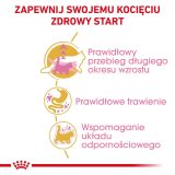 ROYAL CANIN Maine Coon Kitten- dry cat food - 4 kg