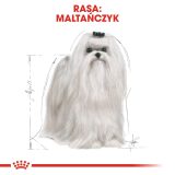 ROYAL CANIN Maltese Adult - dry dog food - 1 5 kg