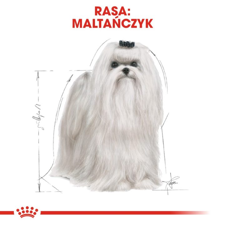 ROYAL CANIN Maltese Adult - dry dog food - 1 5 kg
