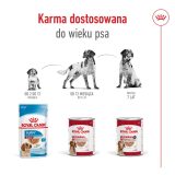 ROYAL CANIN Medium Ageing Loaf - wet dog food - 410g