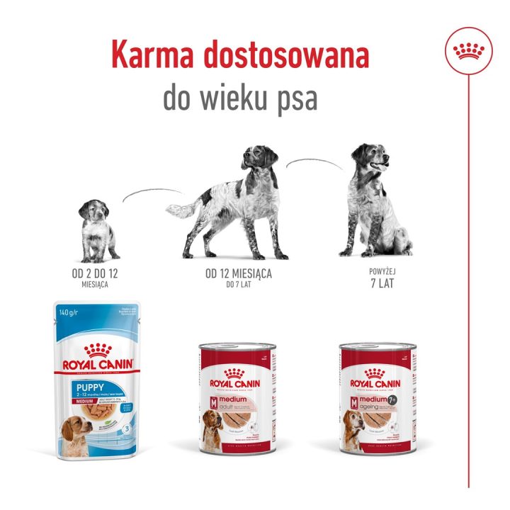 ROYAL CANIN Medium Ageing Loaf - wet dog food - 410g