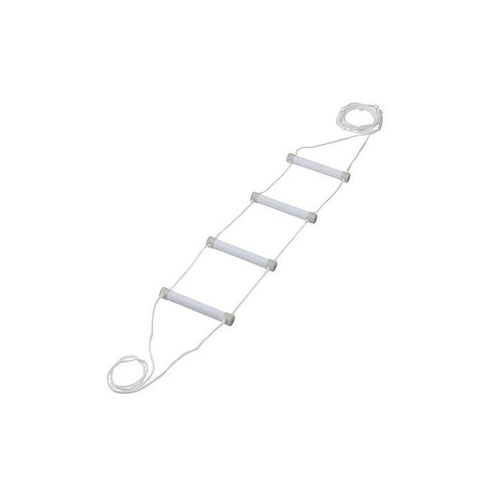 Rehabilitation bed ladder fluorescent