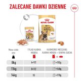 ROYAL CANIN French Bulldog Adult – wet food for dogs – 12x85g
