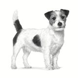 ROYAL CANIN Gastrointestinal Low Fat Small VHN - dry dog food - 3 5kg